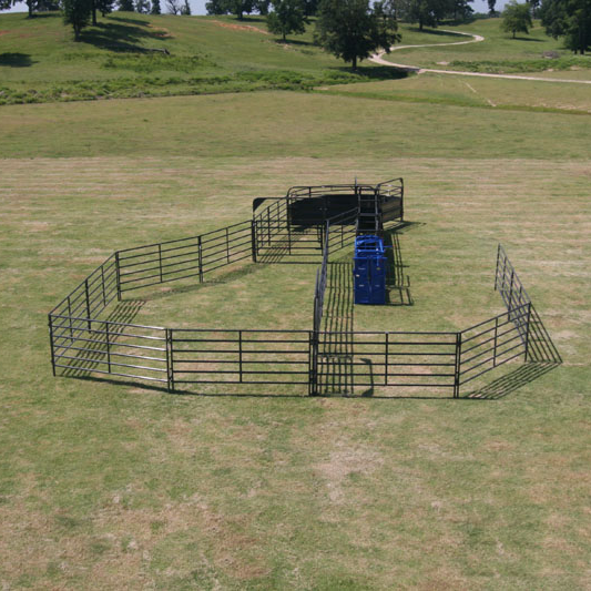 Sheeted Sweep Corral System 1