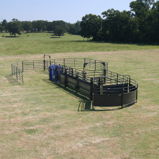 Sheeted Sweep Corral System 1