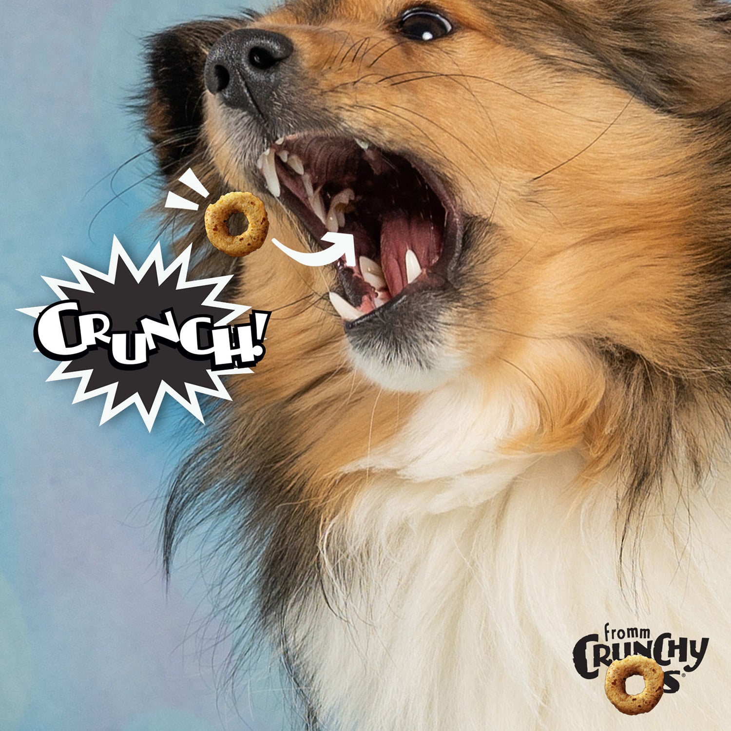 Fromm Crunchy Os Bacon Bl 6oz