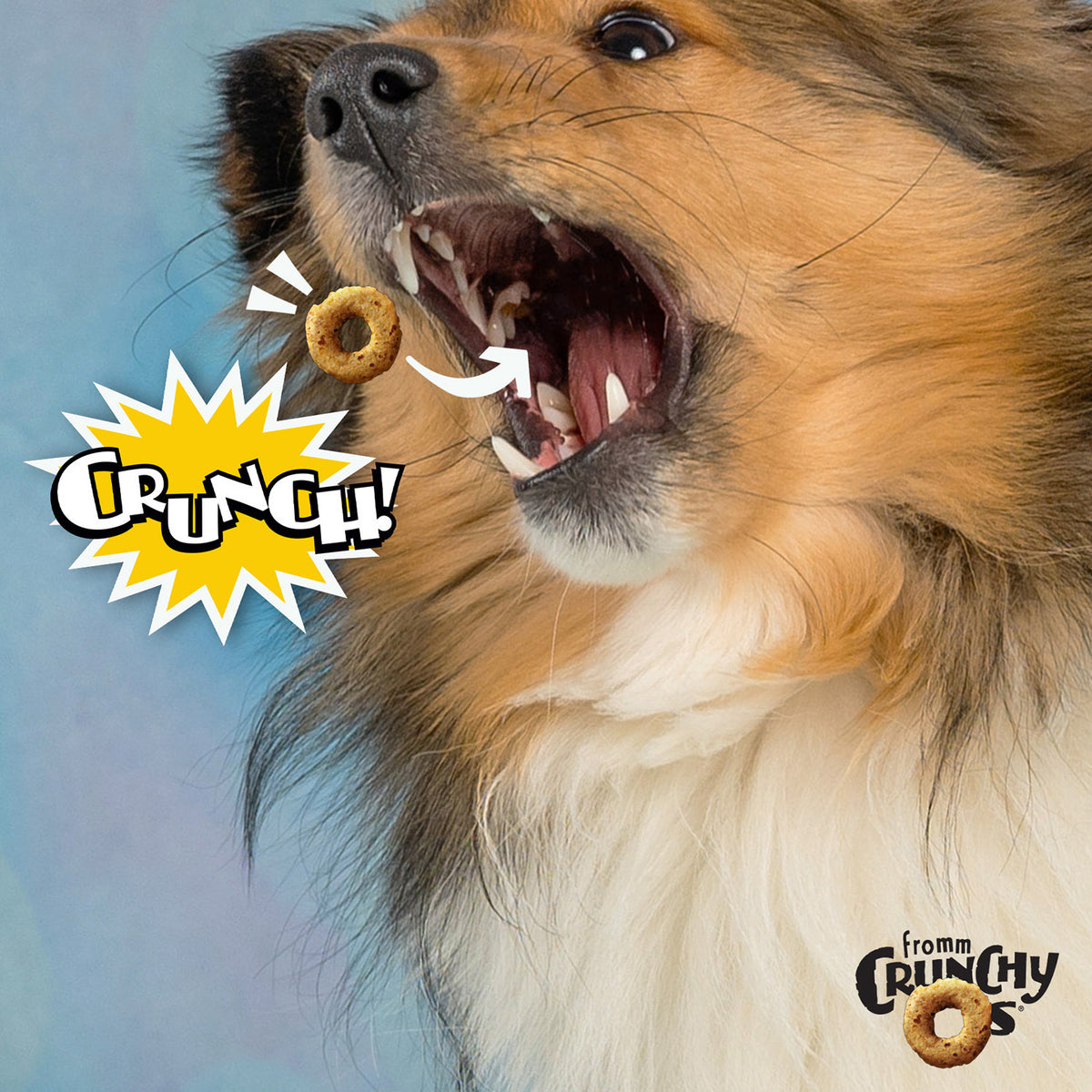 Fromm Crunchy O's Blueberry Blasts Flavored Dog Treats 6oz