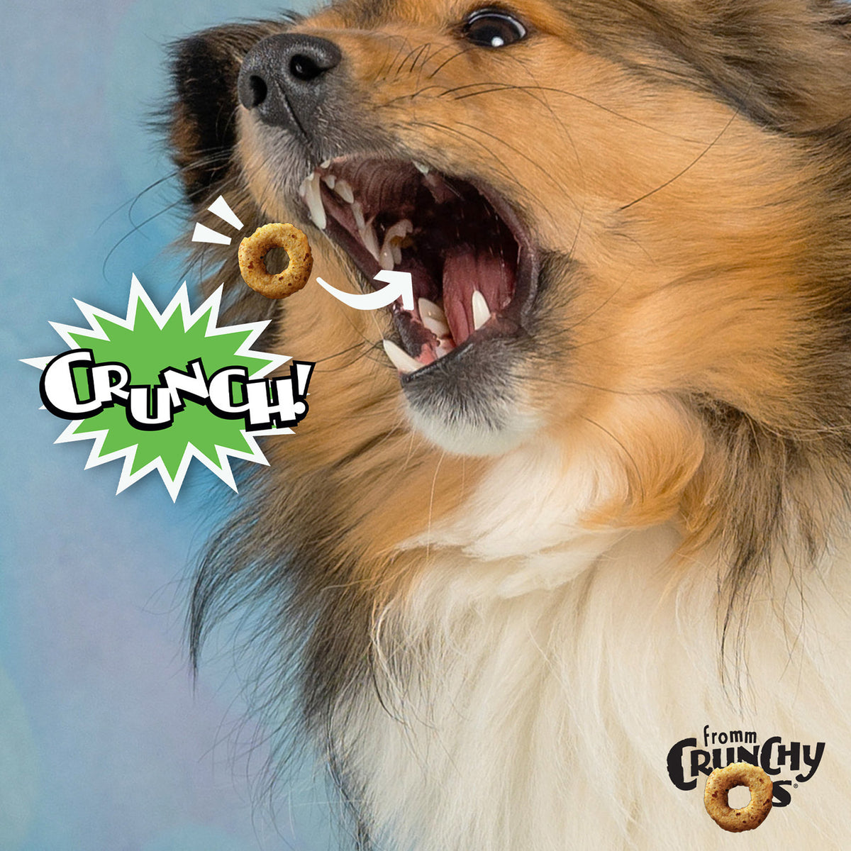 Fromm Crunchy O's Pumpkin Kran Pow Flavored Dog Treats 6oz