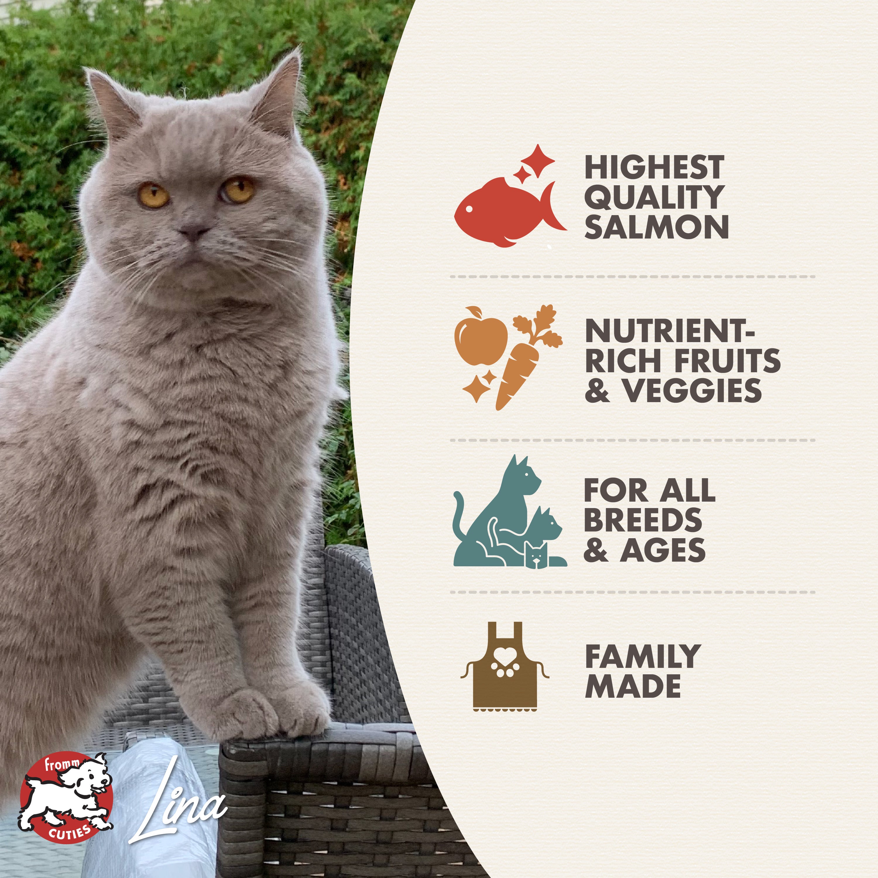 4STAR CAT SALMON & VEGGIE 4 L