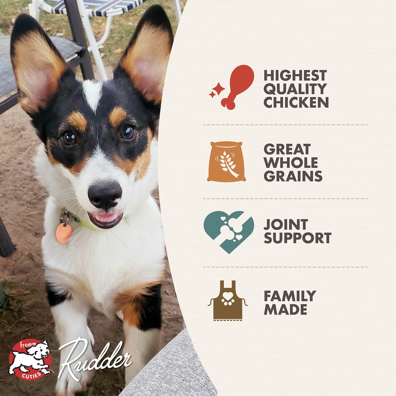 Fromm Classic Puppy Dry Dog Food 30lb