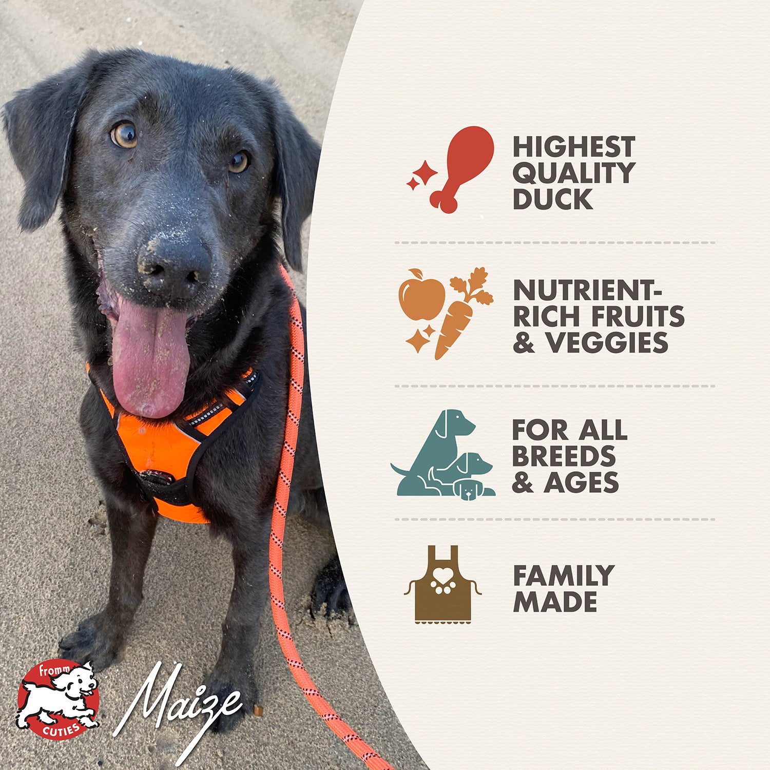 Fromm Four-Star Duck À La Veg® Recipe Dry Dog Food 12lb