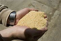 SOYBEAN MEAL 47% 50 LB