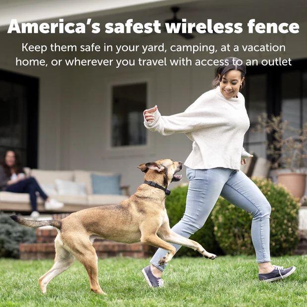 PetSafe STAY & PLAY WIRELESS FENCE