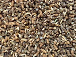 Bar-ale E Senior Texture 50 lb