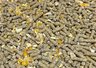 Bar-Ale Layer PELL w/oyster 50