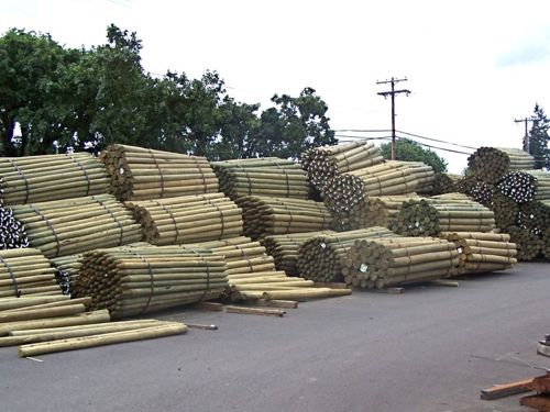 LODGE POLES NEW 4-5 X 8'