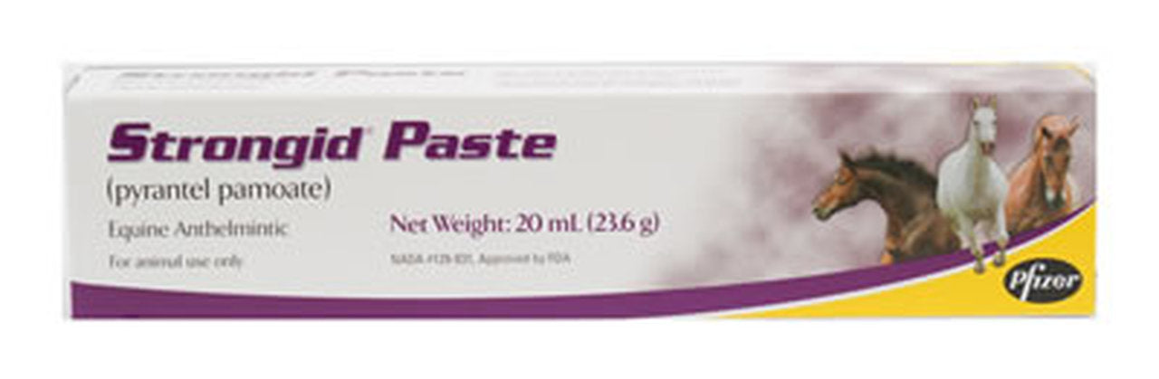 STRONGID PASTE 20ML