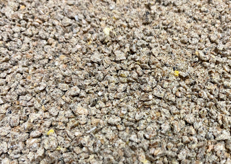 NONGMO GAMEBIRD 22 CR 40LB