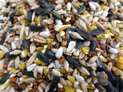 Tillies Treats Omega 3 10lb