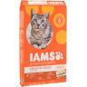 IAMS CAT ORIGINAL 16
