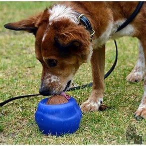 EVERLASTING TREAT BALL LRG