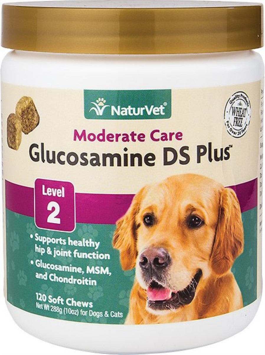 GLUCOSAMINE DS W/MSM SFT CHEW
