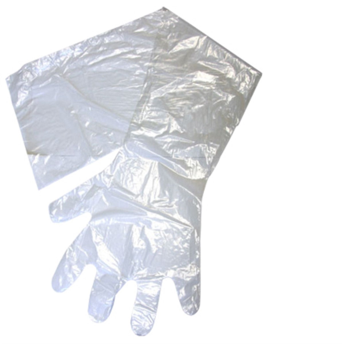 GLOVE LATEX LRG