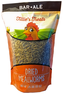 Tillie's Treats Mealworm 20 oz