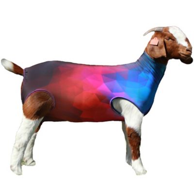 GOAT SOX SPANDEX PRINT M ASST