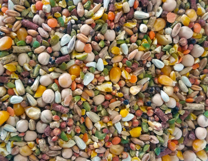 PIGEON #50 CR/CORN 16%