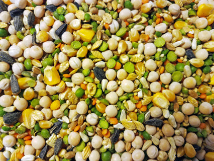 SUPER SCORPION 18% 50 LB