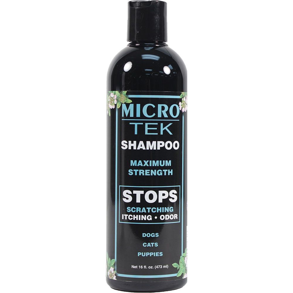 EQYSS MICRO TEK SHAMPOO 16 OZ