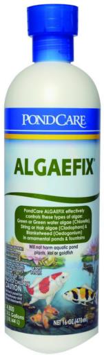 POND CARE ALGAE FIX 16OZ