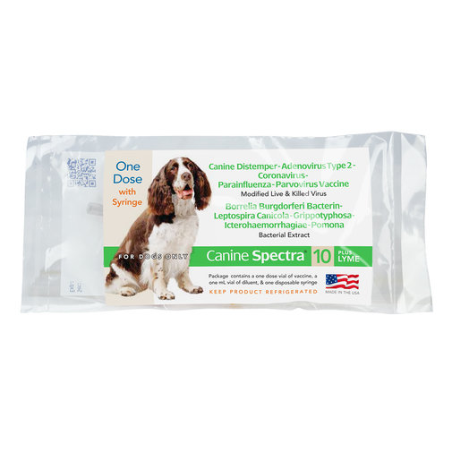 DOG SHOT SPECTRA 10 w lime