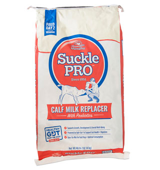 MILK Replacer CALF suckle 40