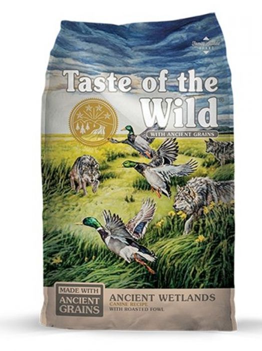 TOW Ancient Wetlands Dog 28#