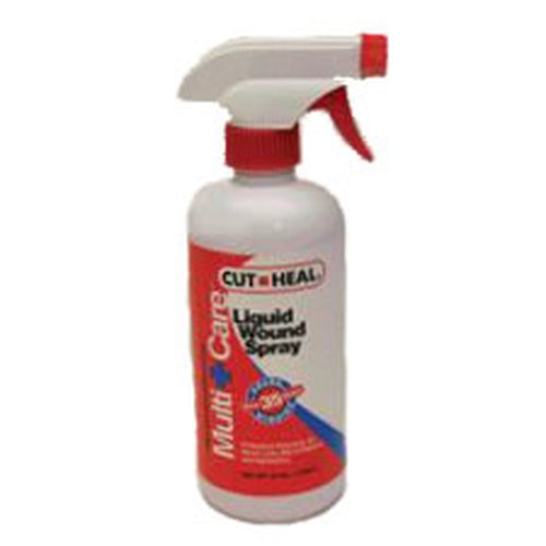 CUT HEAL WOUND SPRAY 16 OZ