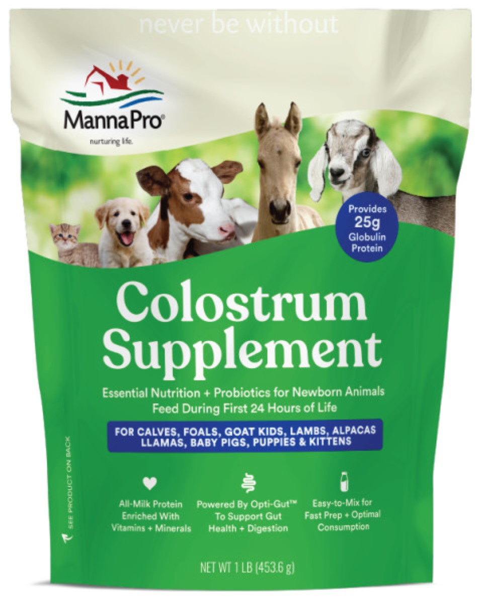 COLOSTRUM SUPPLEMENT 16 OZ