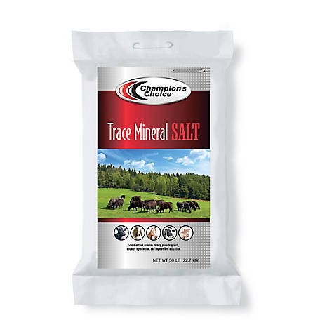 TRACEMINERAL SALT BAG 50#