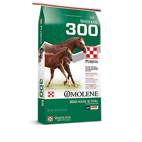 OMOLENE 300 #50