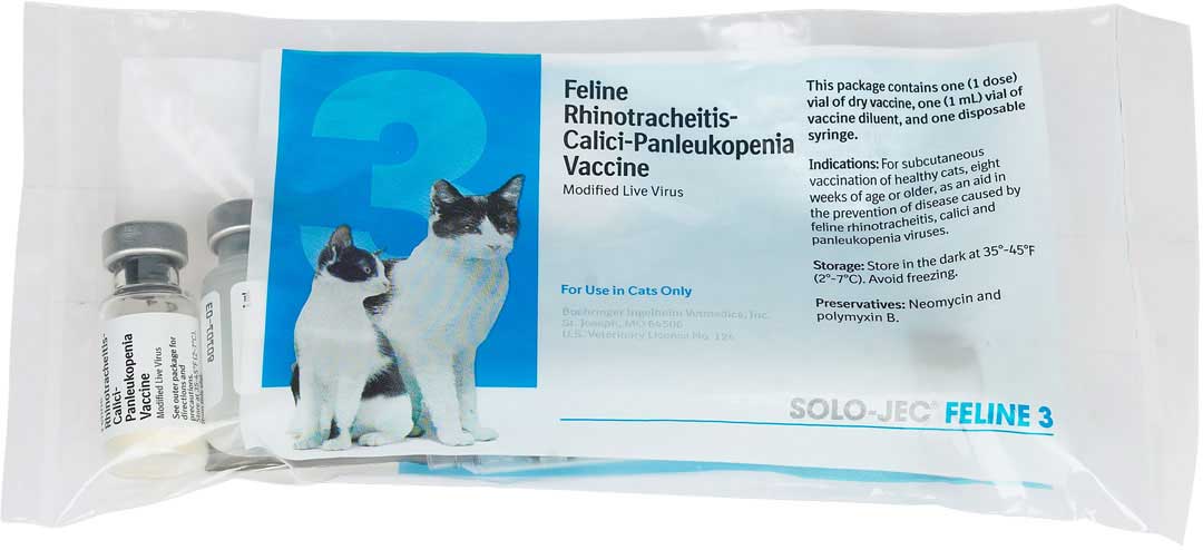 FELINE VACCINATIONS 3 way