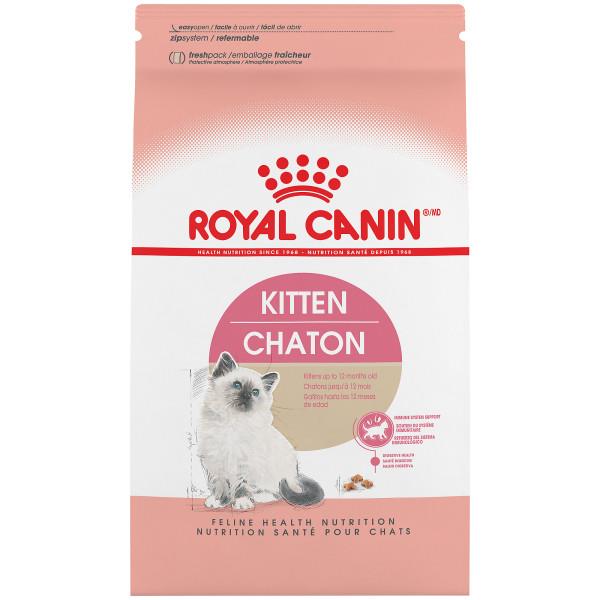 RC Kitten 14