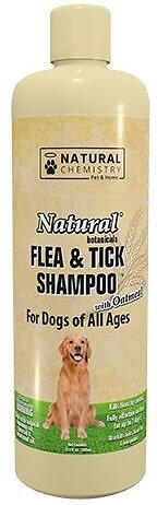 NTC SHMP F/T W/OATMEAL 16OZ
