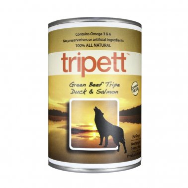 Green Beef Tripe Dk & Sam 13oz
