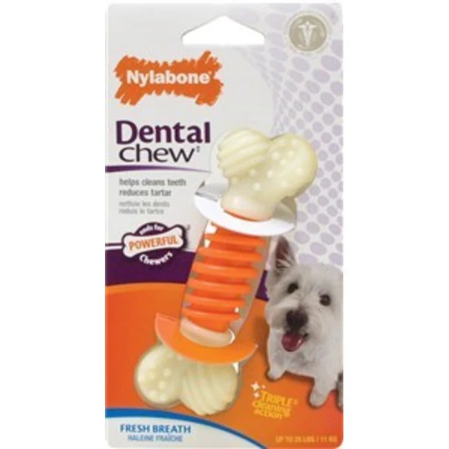 NYL DENTAL PROACTION SM