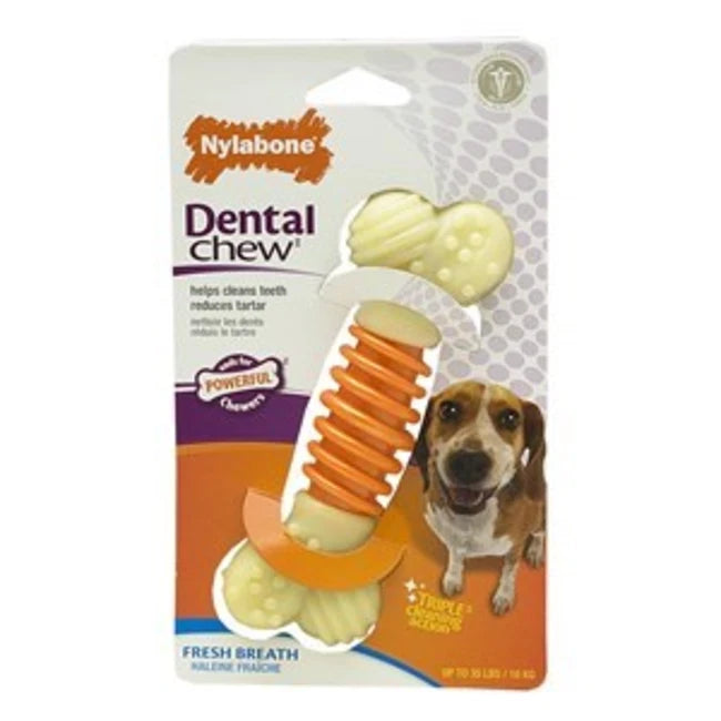 NYL DENTAL PROACTION MD