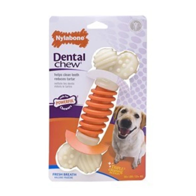 NYL DENTAL PROACTION LG