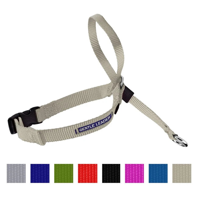 GENTLE LEADER QR COLLAR LG FWN