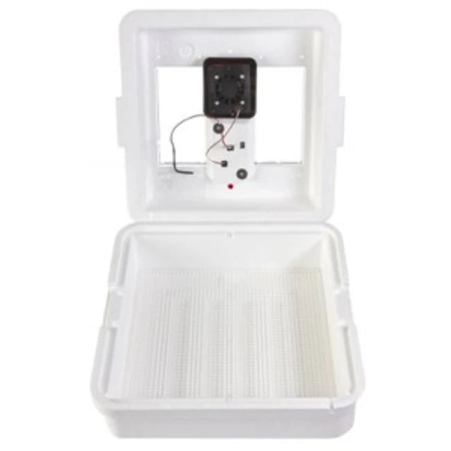 INCUBATOR STILL LITTLE GIANT