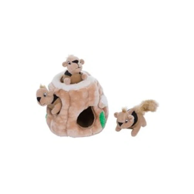 OUTW Hide A Squirrel Jr