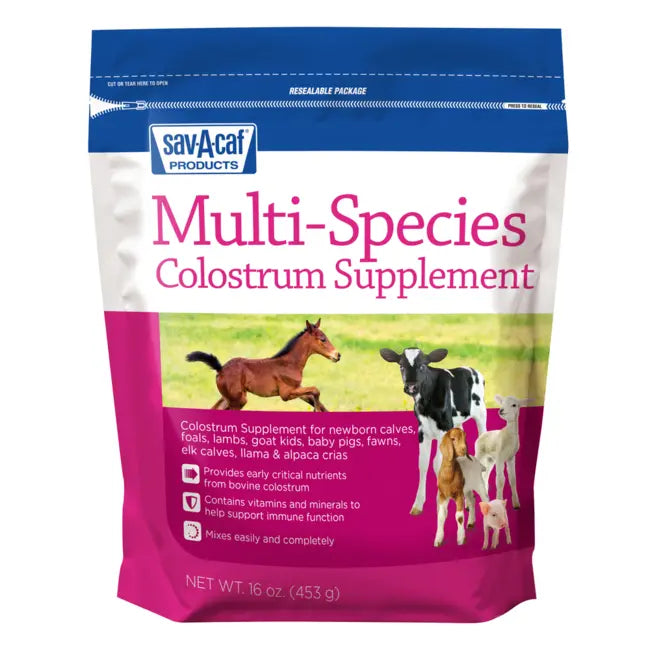 SAV-A-ultrastart colostrum16oz