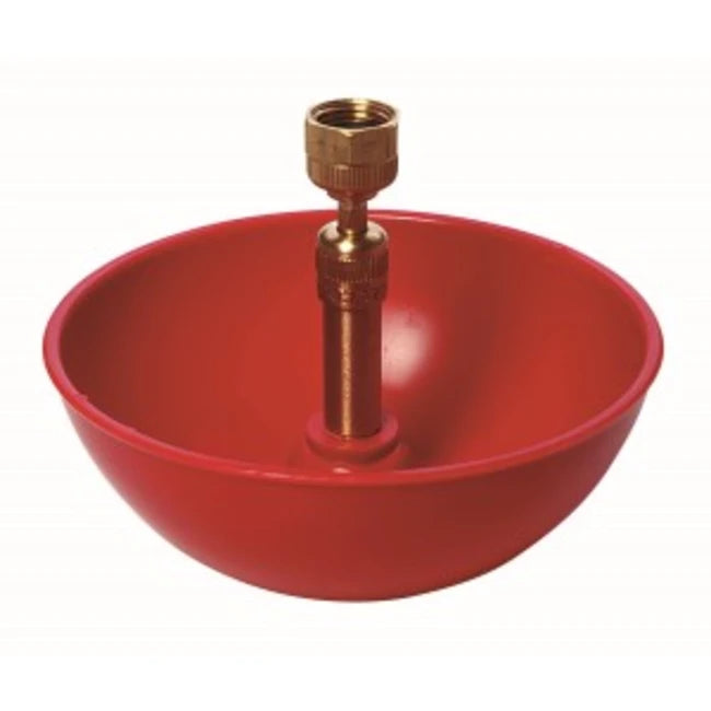 FOUNTAIN POULTRY ADULT