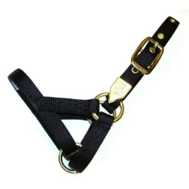 HALTER LLAMA LG ADLT BLK