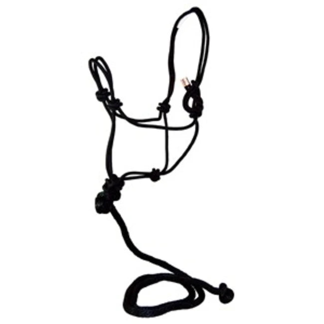 HALTER ROPE W/8FT LEAD BLACK R