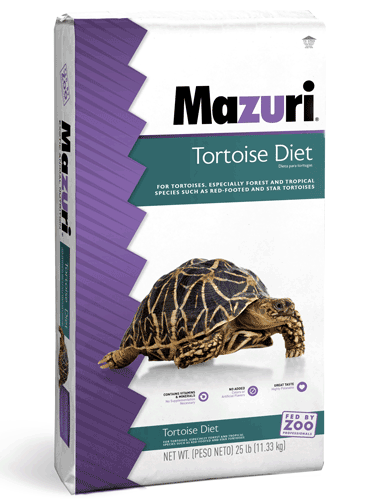 MAZURI TORTOISE 25 LB
