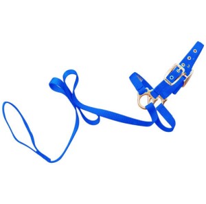 SHEEP HALTER W/LEAD BLUE