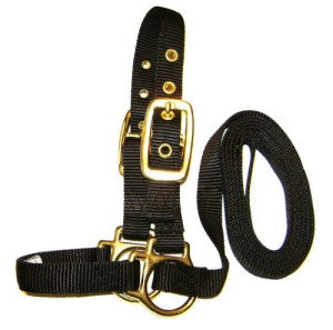 SHEEP HALTER W/LEAD BLK